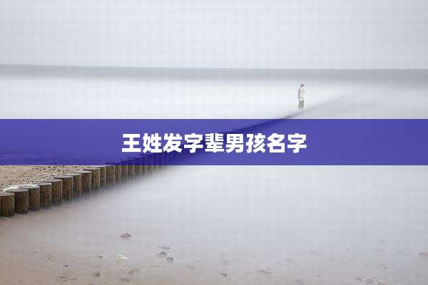 王姓发字辈男孩名字