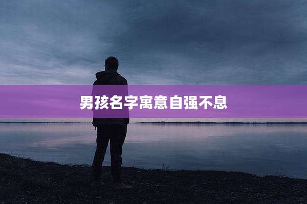 男孩名字寓意自强不息
