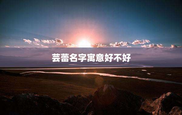 芸蕾名字寓意好不好