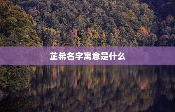 芷希名字寓意是什么