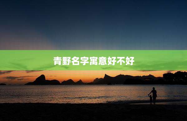青野名字寓意好不好