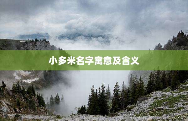 小多米名字寓意及含义