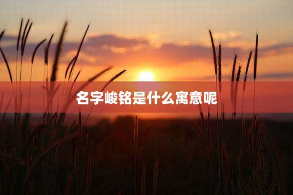 名字峻铭是什么寓意呢