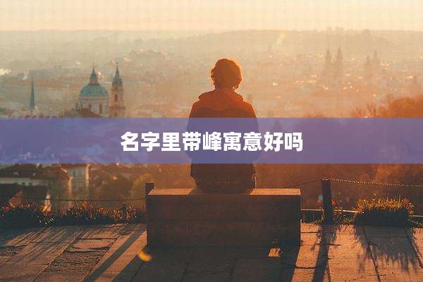 名字里带峰寓意好吗