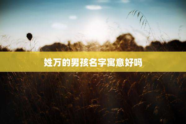 姓万的男孩名字寓意好吗
