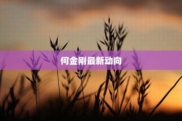 何金刚最新动向