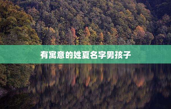 有寓意的姓夏名字男孩子