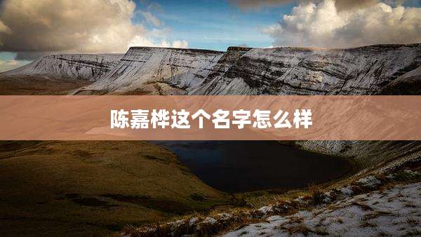 陈嘉桦这个名字怎么样