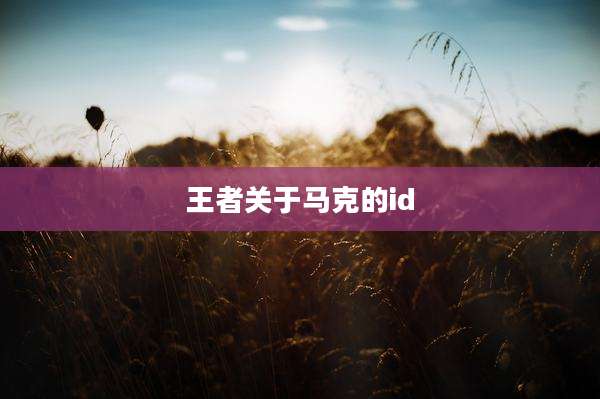 王者关于马克的id