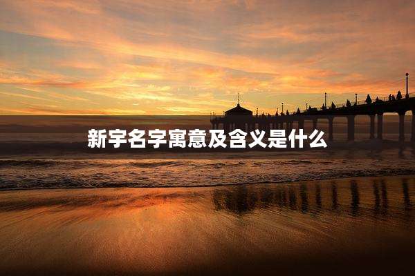 新宇名字寓意及含义是什么