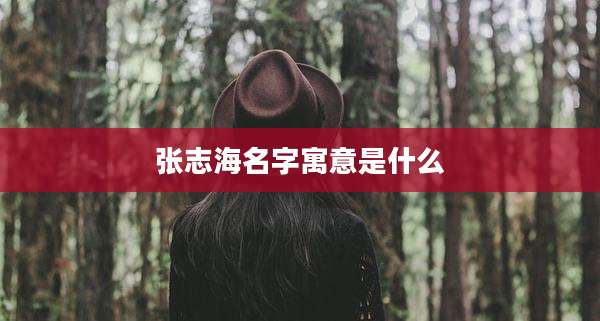 张志海名字寓意是什么