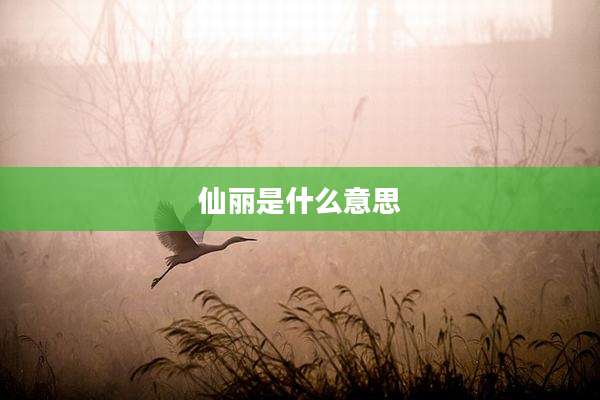 仙丽是什么意思