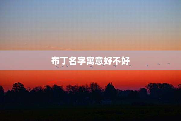 布丁名字寓意好不好