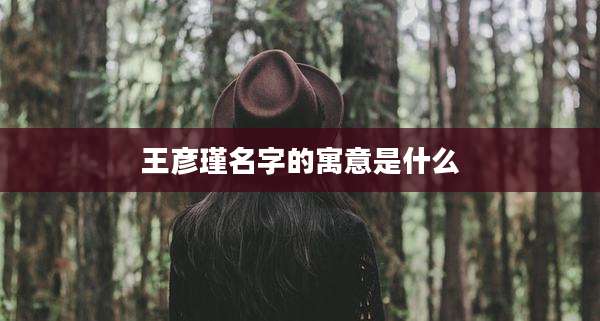 王彦瑾名字的寓意是什么