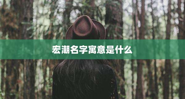 宏潮名字寓意是什么