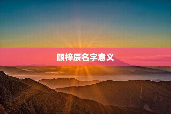 顾梓辰名字意义