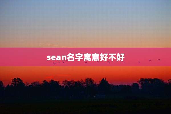 sean名字寓意好不好