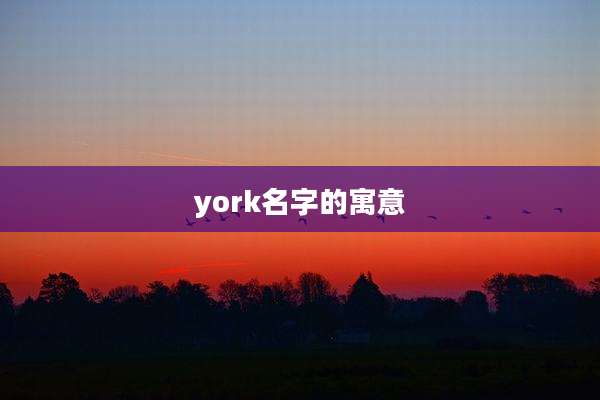 york名字的寓意