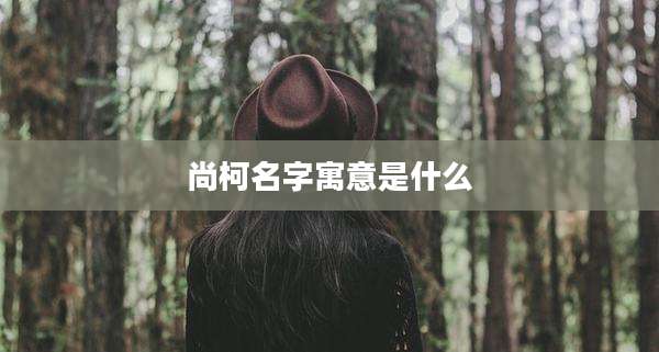 尚柯名字寓意是什么