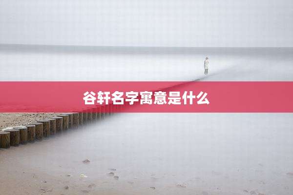 谷轩名字寓意是什么