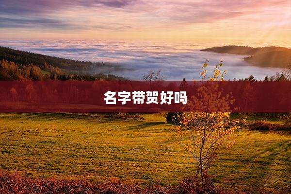 名字带贺好吗