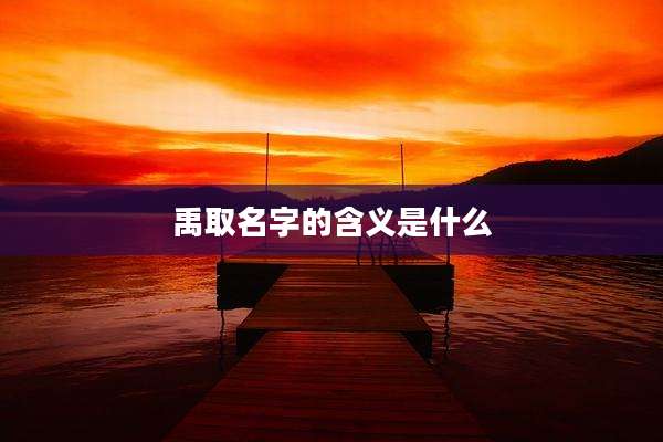 禹取名字的含义是什么