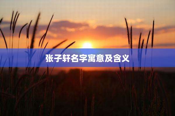 张子轩名字寓意及含义