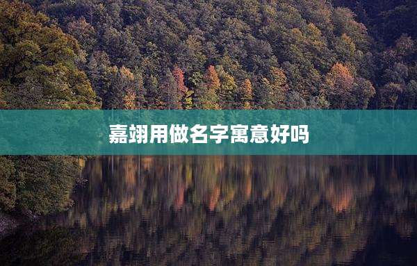 嘉翊用做名字寓意好吗
