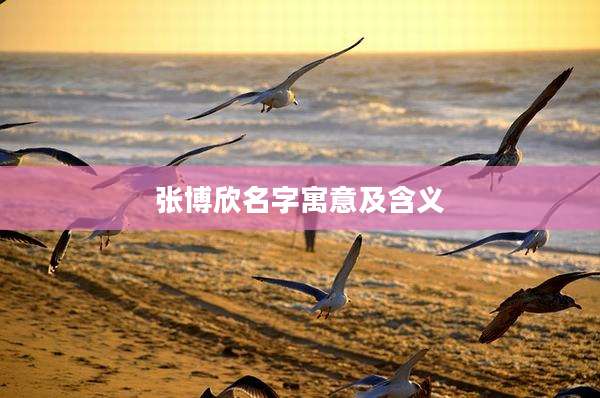 张博欣名字寓意及含义