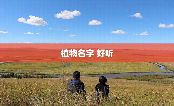 植物名字 好听