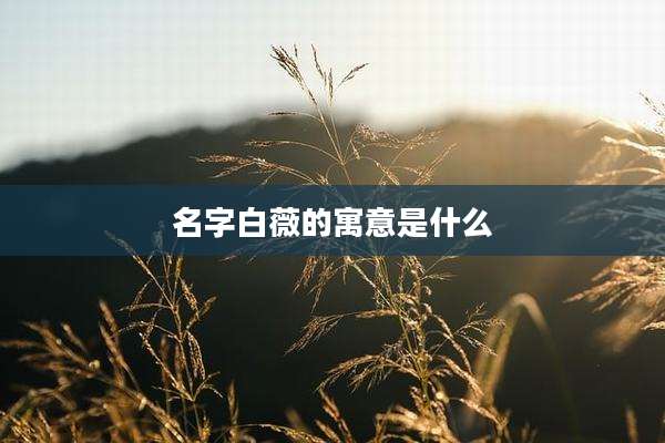 名字白薇的寓意是什么
