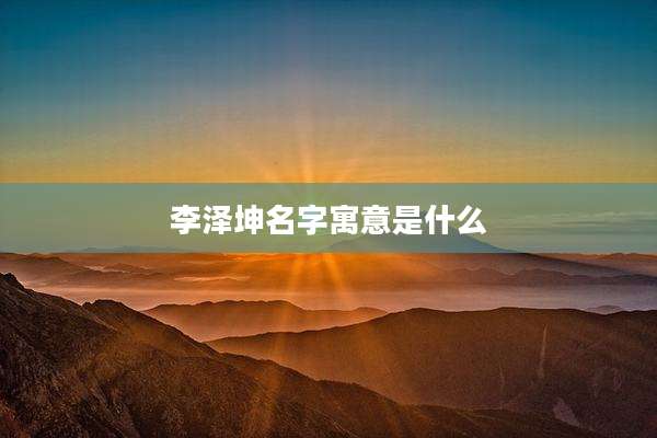 李泽坤名字寓意是什么
