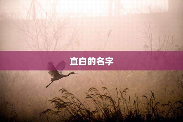 直白的名字