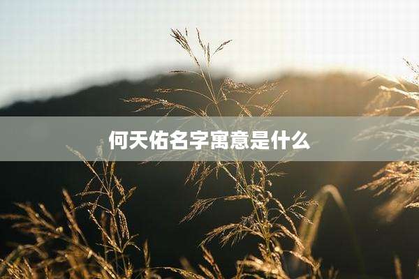何天佑名字寓意是什么