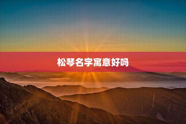 松琴名字寓意好吗