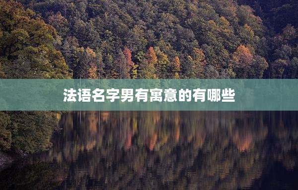 法语名字男有寓意的有哪些