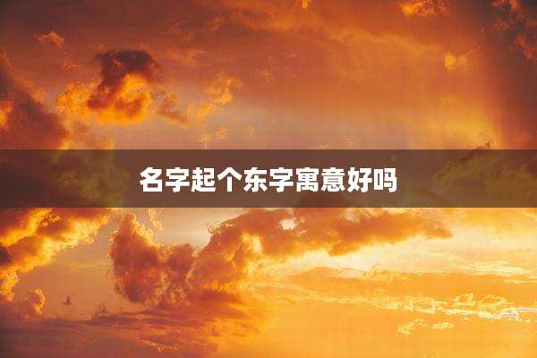 名字起个东字寓意好吗