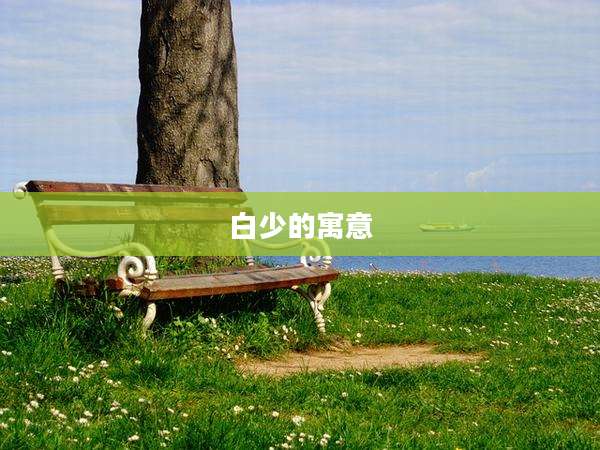 白少的寓意