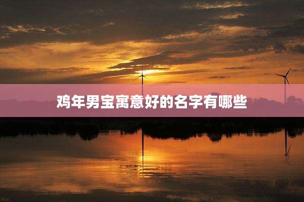 鸡年男宝寓意好的名字有哪些