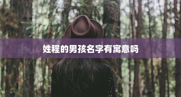 姓程的男孩名字有寓意吗