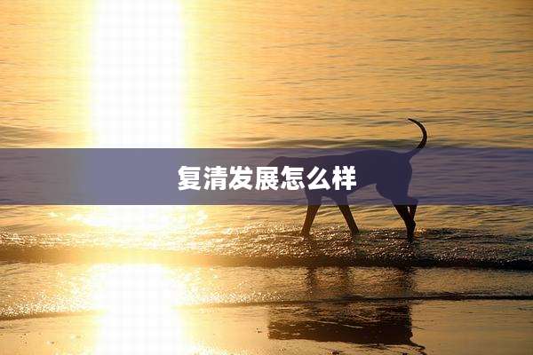 复清发展怎么样