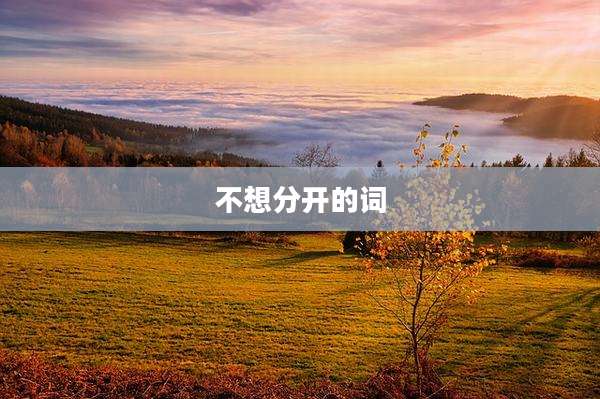 不想分开的词
