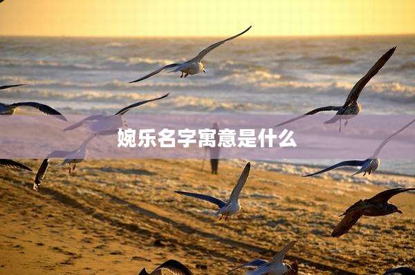 婉乐名字寓意是什么