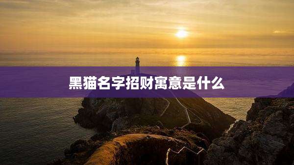 黑猫名字招财寓意是什么