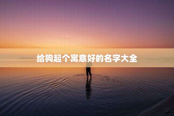 给狗起个寓意好的名字大全