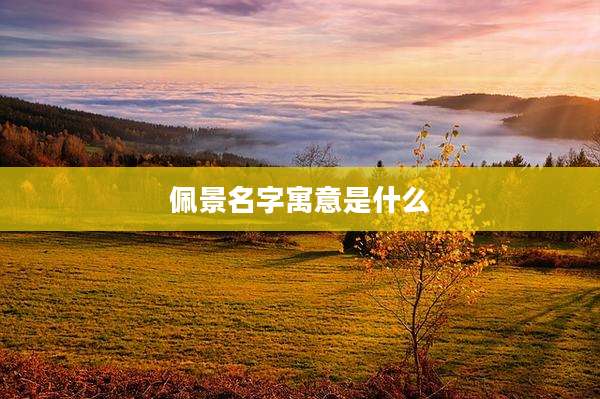 佩景名字寓意是什么