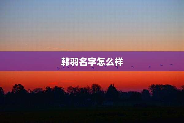 韩羽名字怎么样