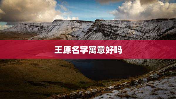 王愿名字寓意好吗