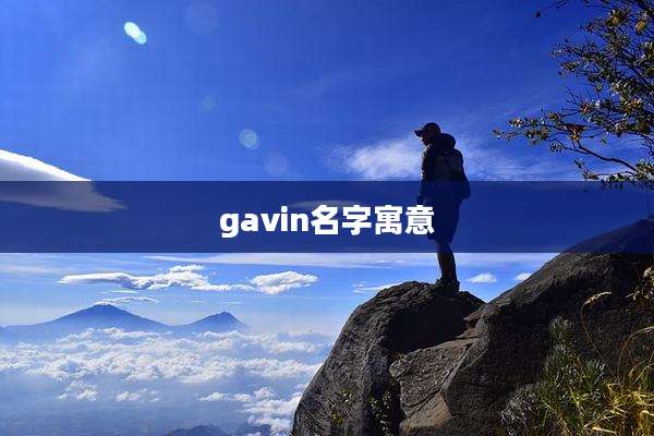 gavin名字寓意