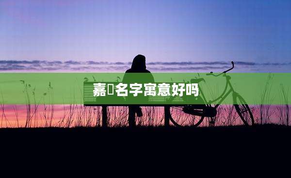 嘉赟名字寓意好吗